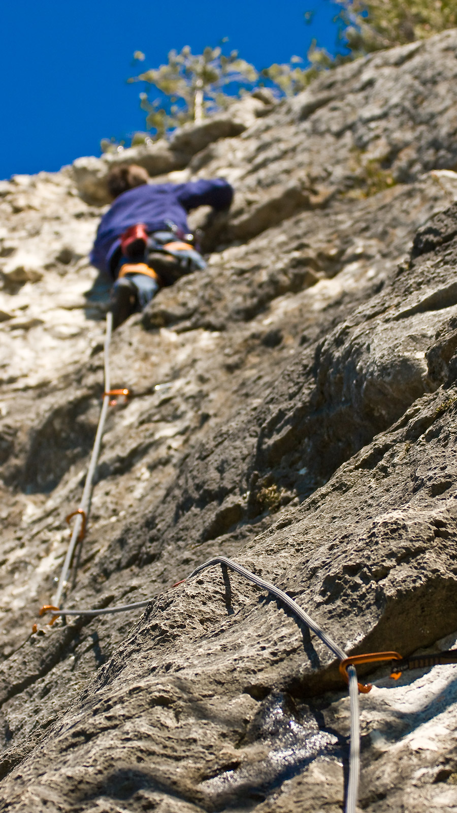 wikimedia Author: Alex Indigo - Rock climbing in Lion's Head, Ontario @ May 24-25, 2008